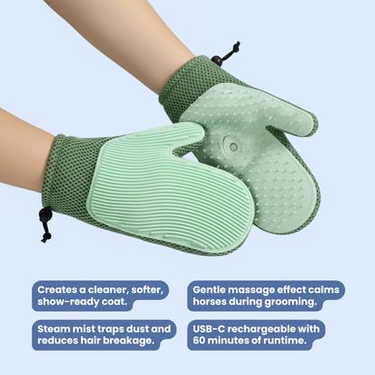 Hand Steam Brush