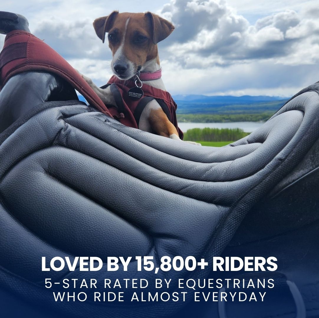 Soft Equestrian Seat Pad (Extra Comfort)