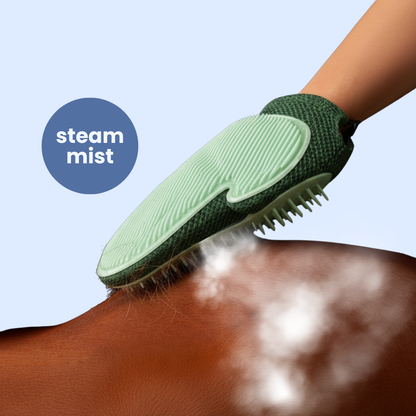 Hand Steam Brush