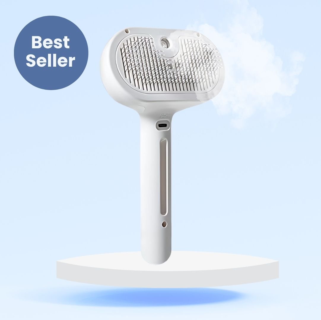 Steam Brush 2E Génération