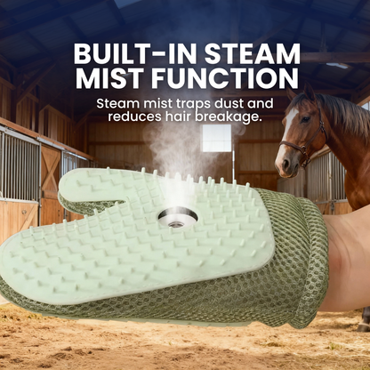 Hand Steam Brush