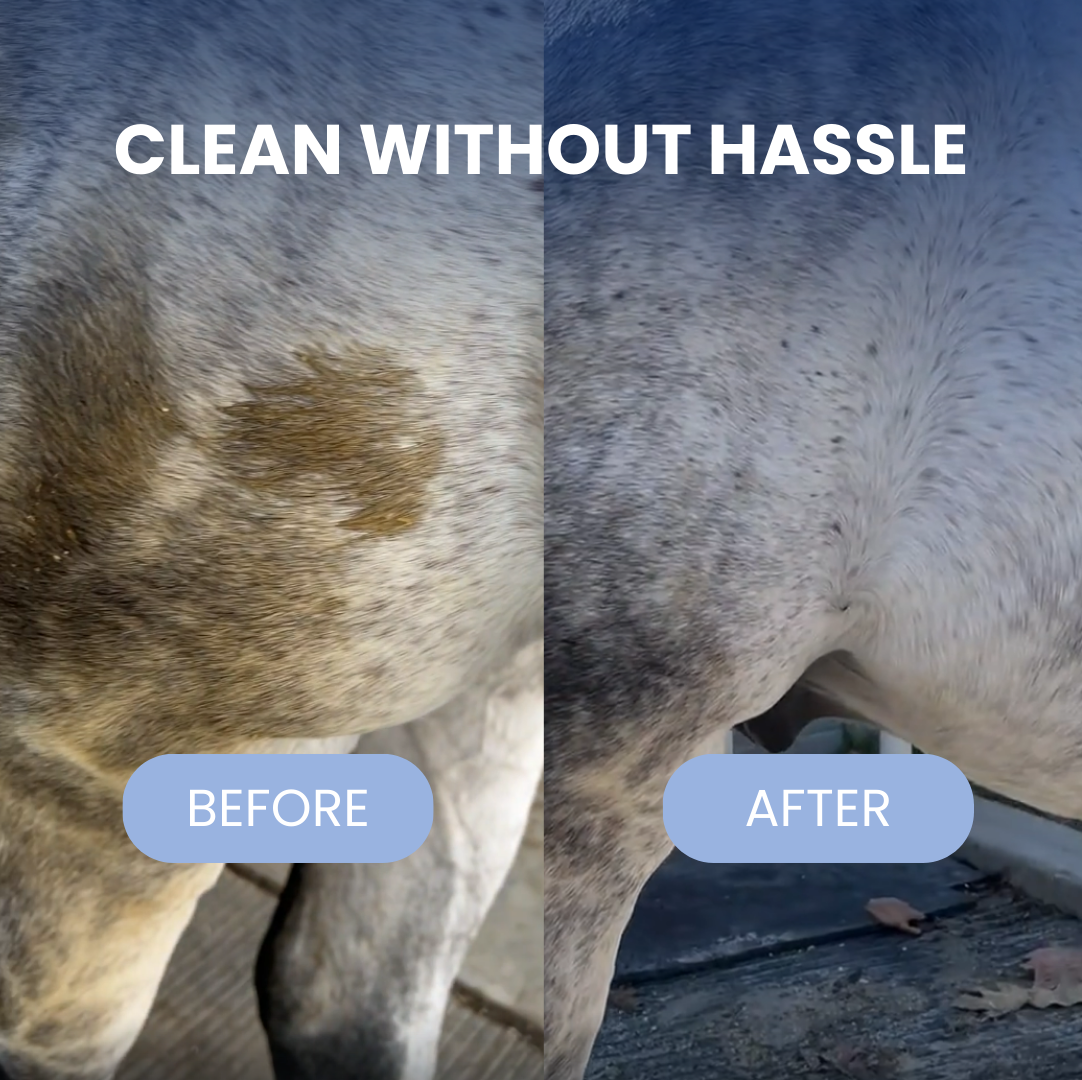 Horse Steam Brush