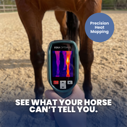 AI Horse Inflammation Detector
