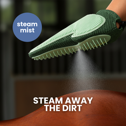 Hand Steam Brush