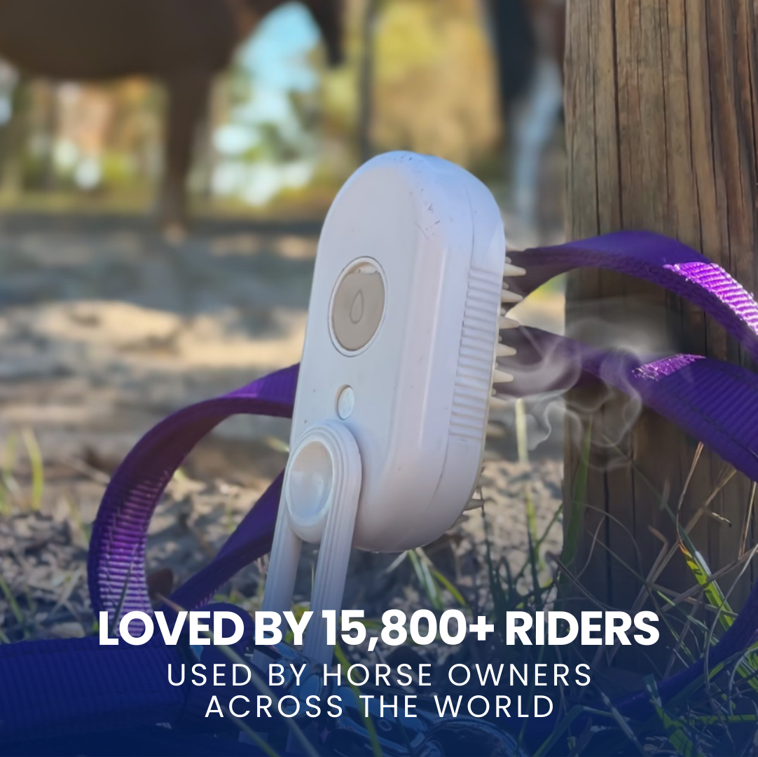 Horse Steam Brush