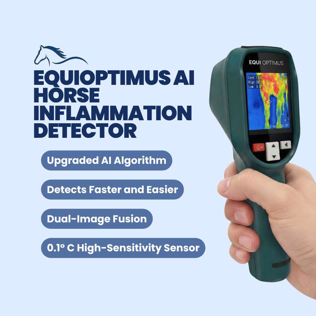 AI Horse Inflammation Detector