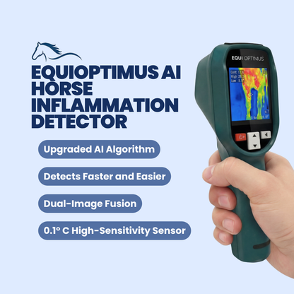 AI Horse Inflammation Detector
