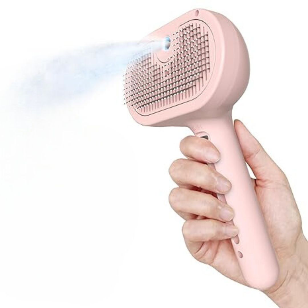 Steam Brush 2E Génération