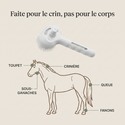 Soie — Brosse brumisatrice pour crinière et queue