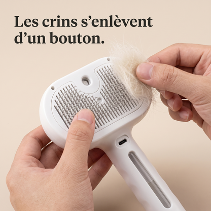 Soie — Brosse brumisatrice pour crinière et queue