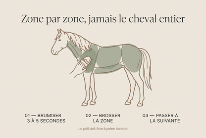 Velours — Brosse brumisatrice de pansage